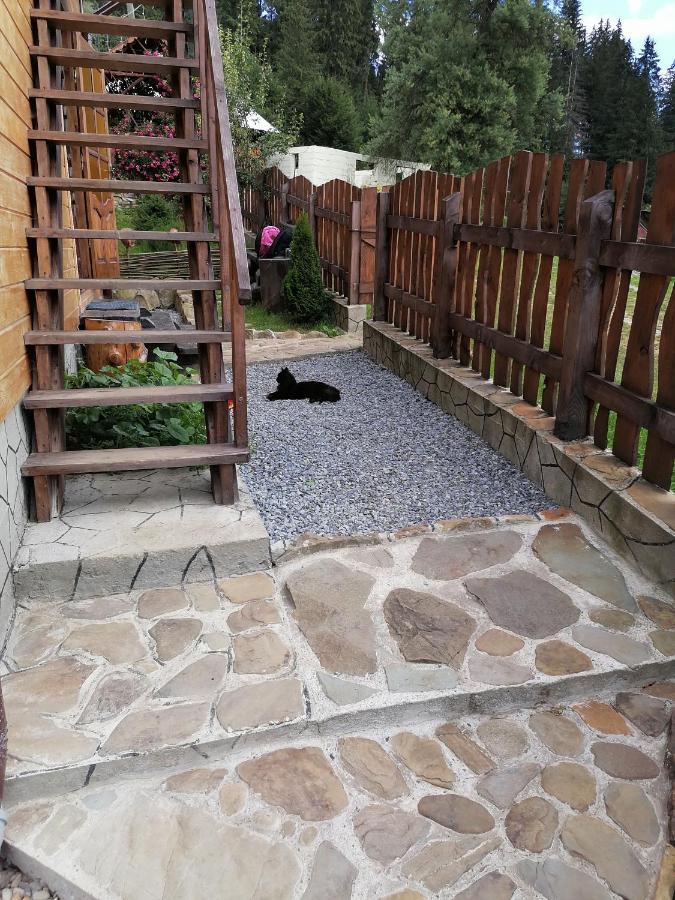 Котедж Віадук Ворохта Екстериор снимка